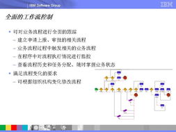 Maximo在石化企业资产与服务管理中的应用与价值